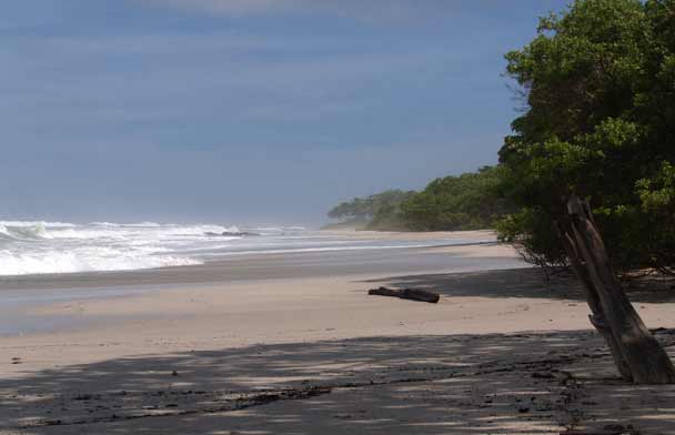 Santa Teresa Costa Rica